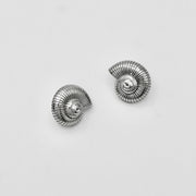 SILVER SHELLS OORBELLEN