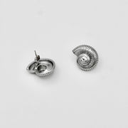 SILVER SHELLS OORBELLEN
