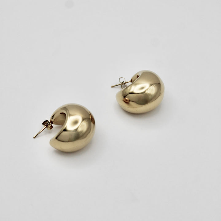 THICK BUT CHIC OORBELLEN