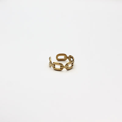 CHAIN RING