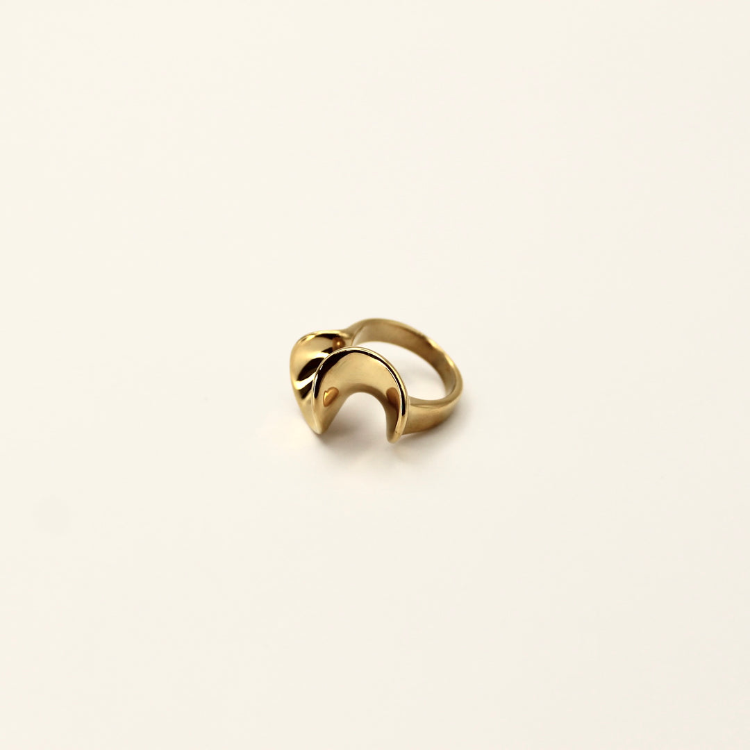 ORGANIC CHUNK RING