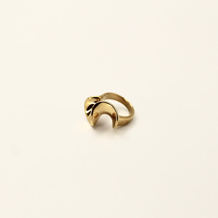 ORGANIC CHUNK RING
