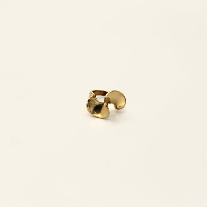 ORGANIC CHUNK RING